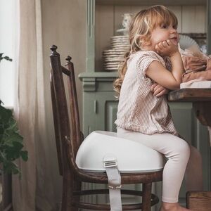 BabyBjörn Booster Seat